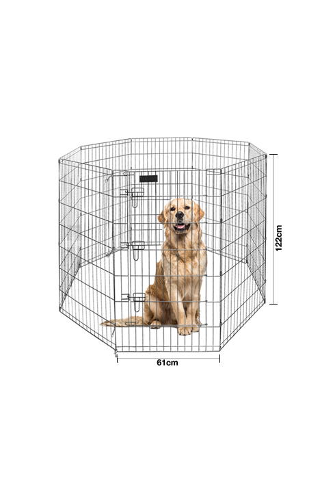 Produk - 661 - Best In Show - Best Pet Food For Your Pet